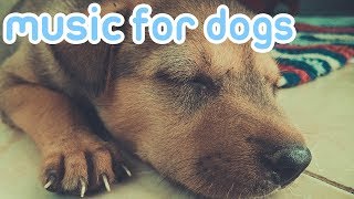 15 HOURS OF RELAXING DOG MUSIC Reduce Anxiety and Help Dogs Sleep [upl. by Ysdnyl]