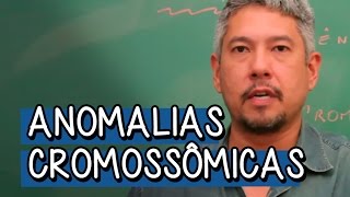 Anomalias Cromossômicas  Extensivo Biologia  Descomplica [upl. by Llecrep]