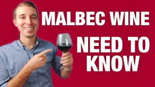 MALBEC RED WINE For Beginners [upl. by Harahs]