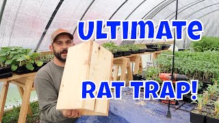 No More Rats Easy Homemade Rat Trap [upl. by Leoj]