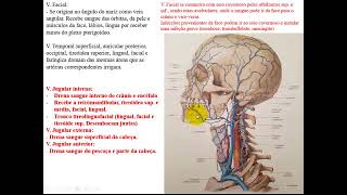 VÍDEO AULA DE VEIAS DA CABEÇA E PESCOÇO [upl. by Adnohsirk]