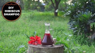 Homemade Hibiscus Shampoo To Grow Hair Faster amp Thicker [upl. by Abita]