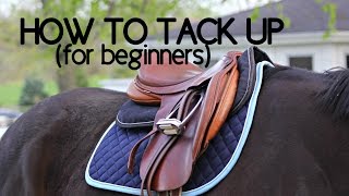 How To Tack Up Your Horse English [upl. by Huldah52]