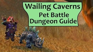 Wailing Caverns Pet Battle Dungeon Complete Guide [upl. by Rina]