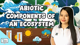 Abiotic Components of an Ecosystem  Biology [upl. by Vez344]