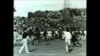 Football Hooligan Documentary [upl. by Ellekram475]