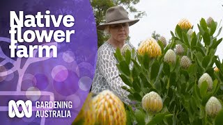 Growing native flowers on a large scale  Native Australian Plants  Gardening Australia [upl. by Benson]