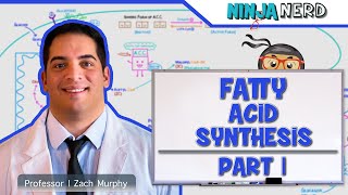 Metabolism  Fatty Acid Synthesis Part 1 [upl. by Kinson]