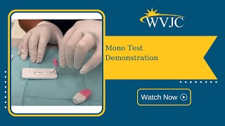 Mono Test Demonstration [upl. by Holmen]