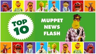 Top Ten Muppet News Flash  The Muppets [upl. by Paderna526]