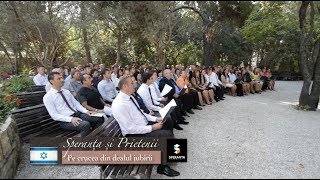 Pe crucea din dealul iubirii  Speranța și Prietenii vol16 [upl. by Goldi]