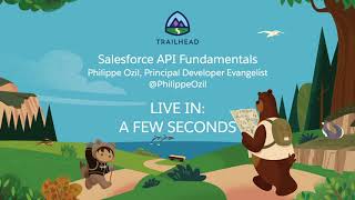 Salesforce API Fundamentals [upl. by Keelby193]