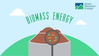 Renewable Energy 101 How Does Biomass Energy Work [upl. by Salomone650]