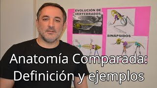 Anatomía comparada definición y ejemplos [upl. by Aiyot]