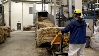 Take a tour of a hemp processing plant [upl. by Kaz]