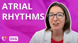 Atrial Rhythms  EKG Interpretation  LevelUpRN [upl. by Lichtenfeld]