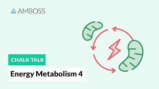 Energy Metabolism  Part 4 Fatty Acids amp Carnitine Transporter [upl. by Diann872]