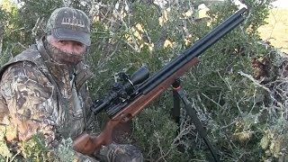 Airgun Hunting Ataman M2 30 caliber Airgun Hunt [upl. by Oralia60]