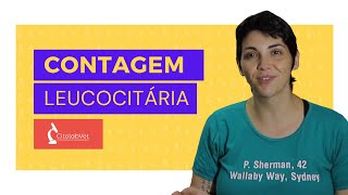 Contagem de leucócitos na patologia clínica veterinária [upl. by Ardelis]