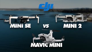 Mini SE vs Mavic Mini vs Mini 2  DJI Mini Drone Comparison  DansTubeTV [upl. by Cortie756]