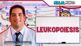 Leukocytosis Case Study Lab Interpretation for Nurse Practitioners [upl. by Ludmilla]