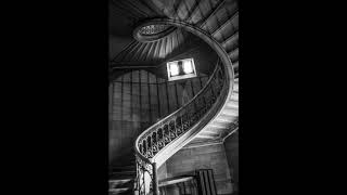 DBT Wise Mind  Inner Spiral Staircase [upl. by Delphine916]