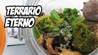 Cómo Hacer un TERRARIO ETERNO 🌱  Eternal Terrarium  La Huerta de Ivan [upl. by Rise]