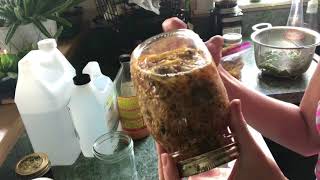 Part 1 How To Make Infused Oil With Fresh Or Dried HerbsOverview Of Tinctures Oils And Infusions [upl. by Arita]