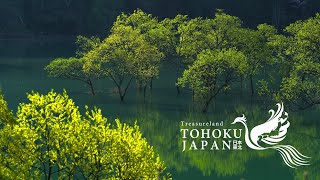 Retrace Your TOHOKU Japan in 8K HDR  東北の７つの魅力（総集編） [upl. by Arakaj]