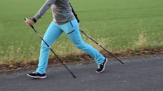 Nordic Walking  Die richtige Technik [upl. by Marcelle777]