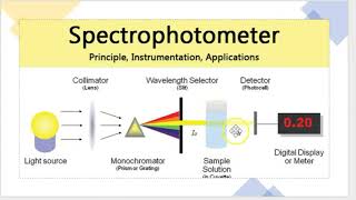 spectrophotometer working principle [upl. by Ennairoc]