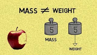 The Difference Between Mass amp Weight [upl. by Nonnahs]