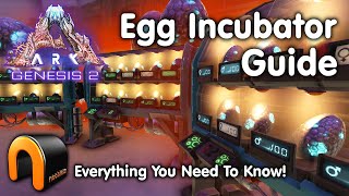 ARK Egg Incubator Guide And How To Use It ARK [upl. by Auqenahs]