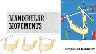 Mandibular Movements [upl. by Cardinal116]