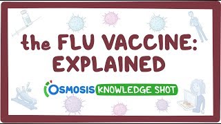 The flu vaccine explained [upl. by Viv]