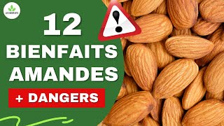 AMANDES LES BIENFAITS ET DANGERS CACHÉS POUR LA SANTÉ [upl. by Falcone]