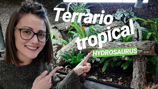 Cómo hacer un TERRARIO TROPICAL con PLANTAS [upl. by Elvina]