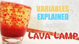 Variables Explained 2  DIY Lava Lamp Experiment [upl. by Einniw]