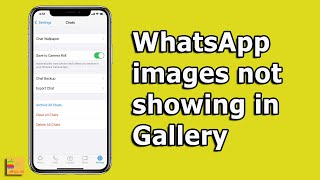 WhatsApp Images Not Showing In Gallery FOR iPHONE 3 Ways To Fix [upl. by Carly934]