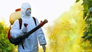 The Unintended Consequences of Pesticides [upl. by Okeim258]