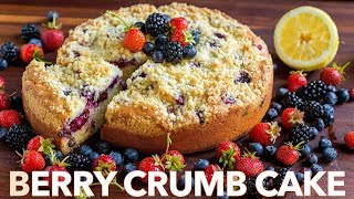 Easy Berry Crumb Cake Recipe [upl. by Eenahc]