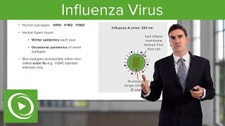 How to Treat the Flu Influenza  Flu Treatment [upl. by Richela]