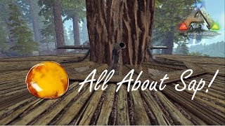 ALL ABOUT SAP  ARK SURVIVAL EVOLVED  THE ISLAND [upl. by Ehtiaf]