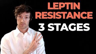 3 Stages of Leptin Resistance and what they mean for weight loss [upl. by Demmahum]