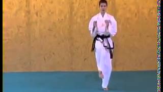 ITF Taekwon Do Patterns  Toi Gae [upl. by Erodroeht]