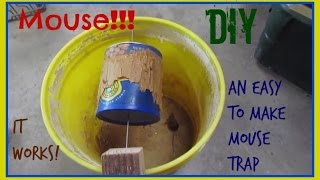 How To Make A Mouse Trap From A Five Gallon Bucket [upl. by Emiaj]