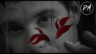 Rumble Fish Modern Trailer [upl. by Tarazi6]