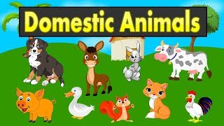 Domestic Animals names for kids  Farm Animals youtube  Kid2teentv [upl. by Annavoj651]