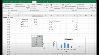 Frequency Distribution and Histogram for Quantitative Data in Excel [upl. by Audley137]