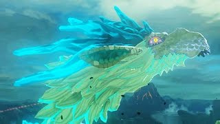 The Legend of Zelda Breath of the Wild  All Dragon Locations amp Shrine Quests [upl. by Nwaf53]